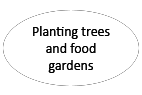 Planting trees and food gardens