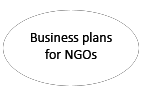 Business plans for NGOs